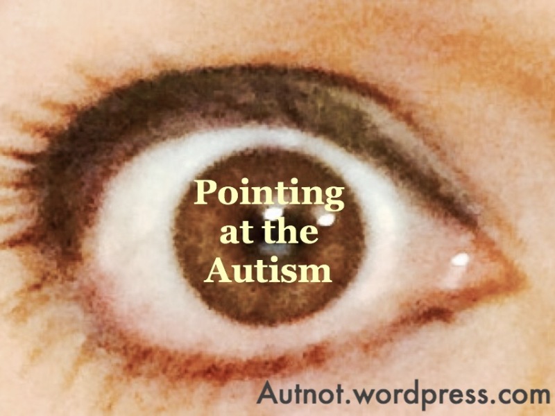 Pointing at the Autism
