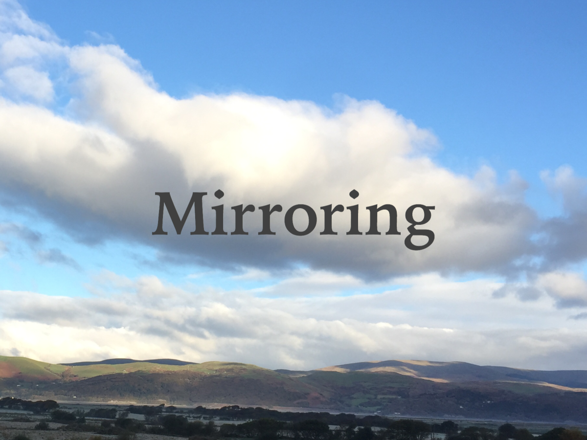 Mirroring