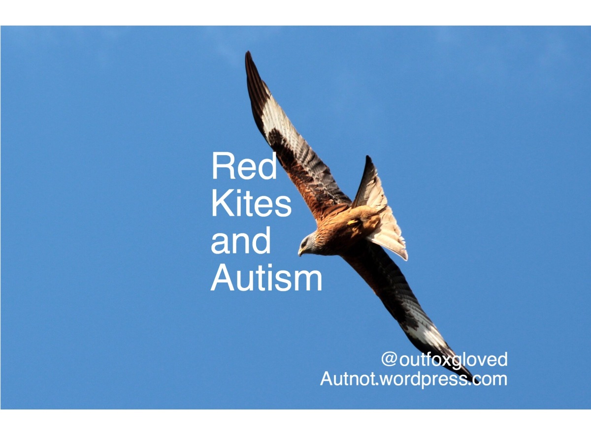 Red Kites and Autism