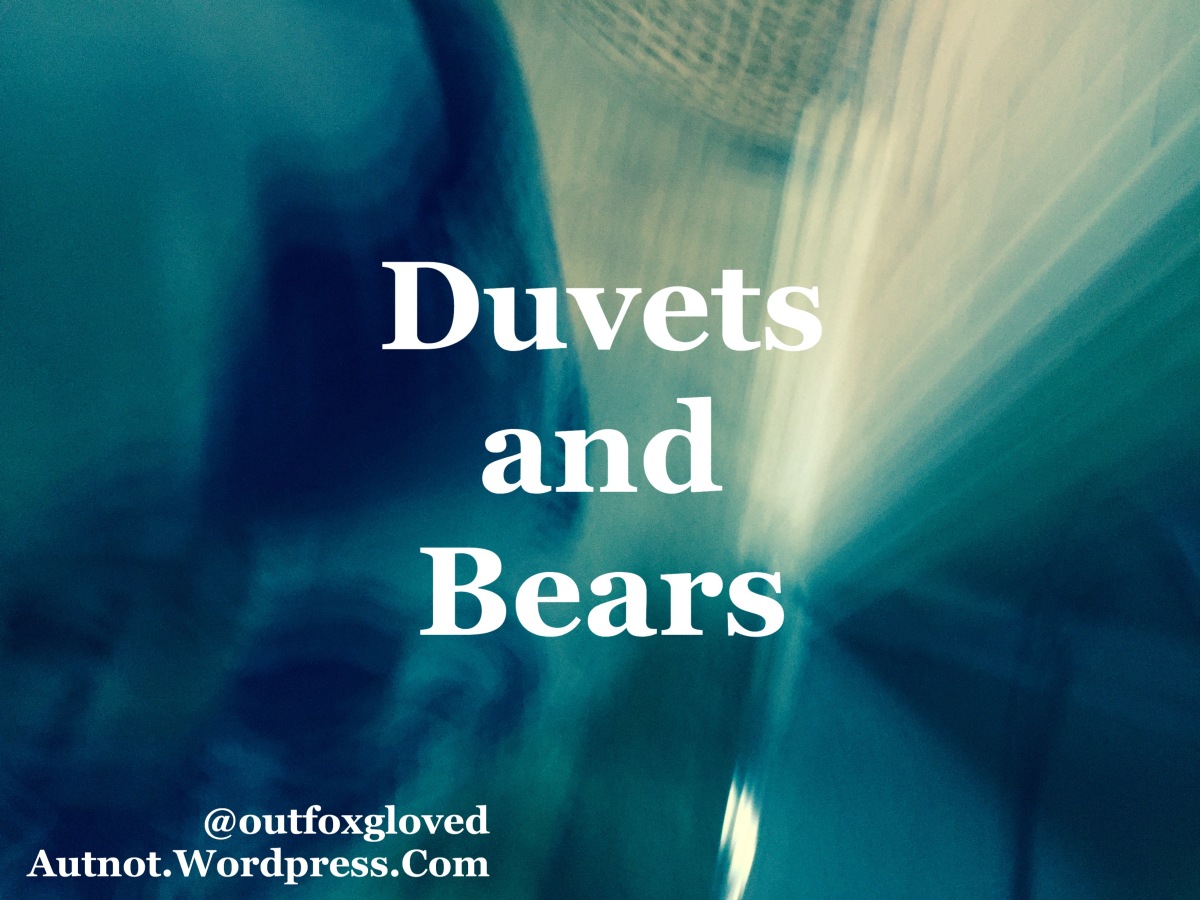 Duvets and Bears