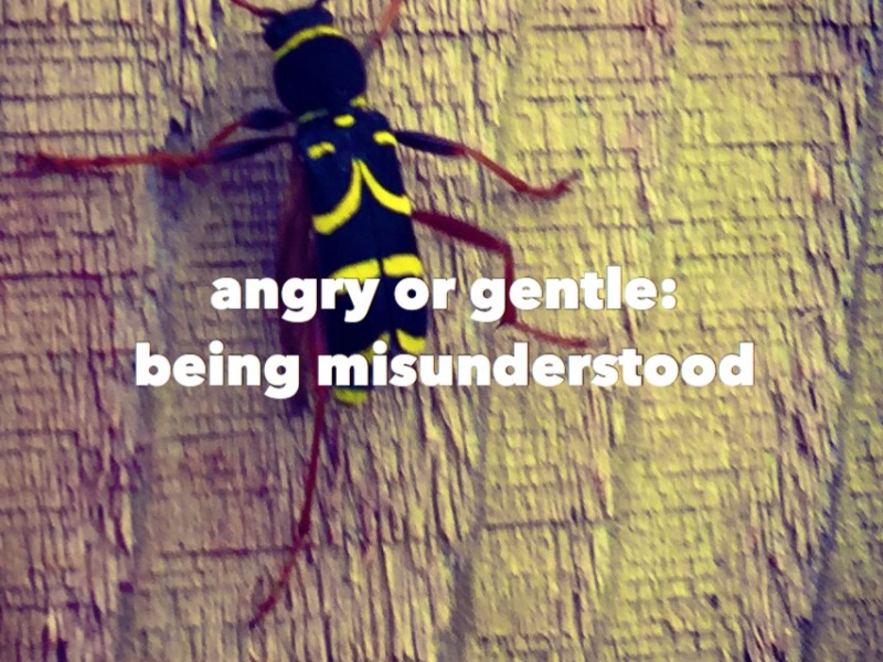 Angry or Gentle: being misunderstood