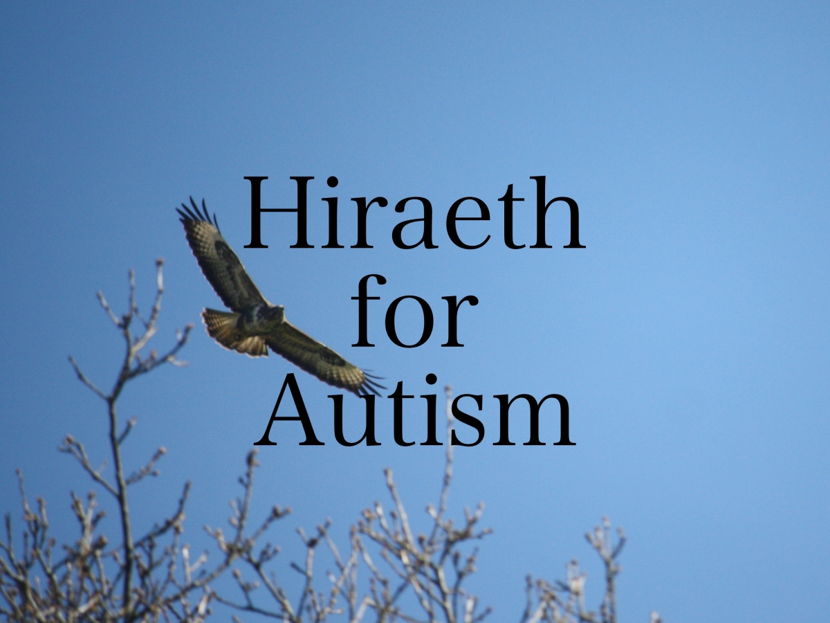 Hiraeth for Autism