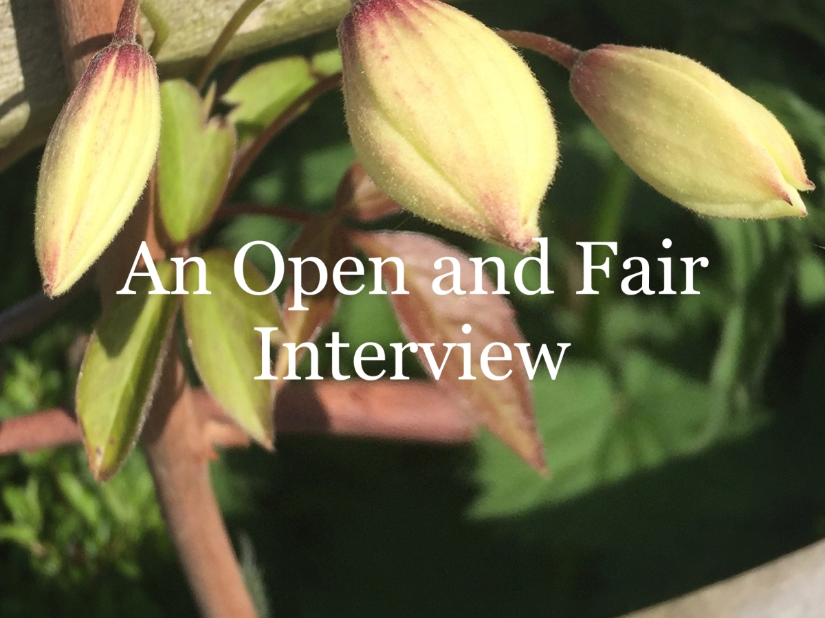 An Open and Fair Interview