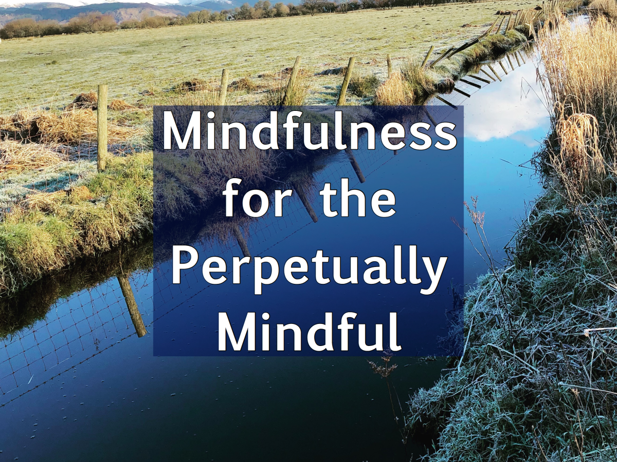 Mindfulness for the Perpetually Mindful