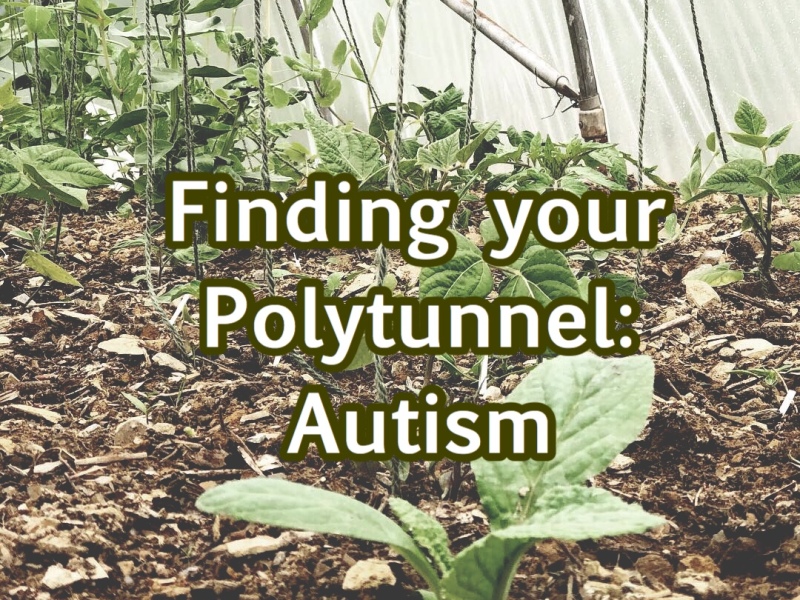 Finding your Polytunnel: Autism