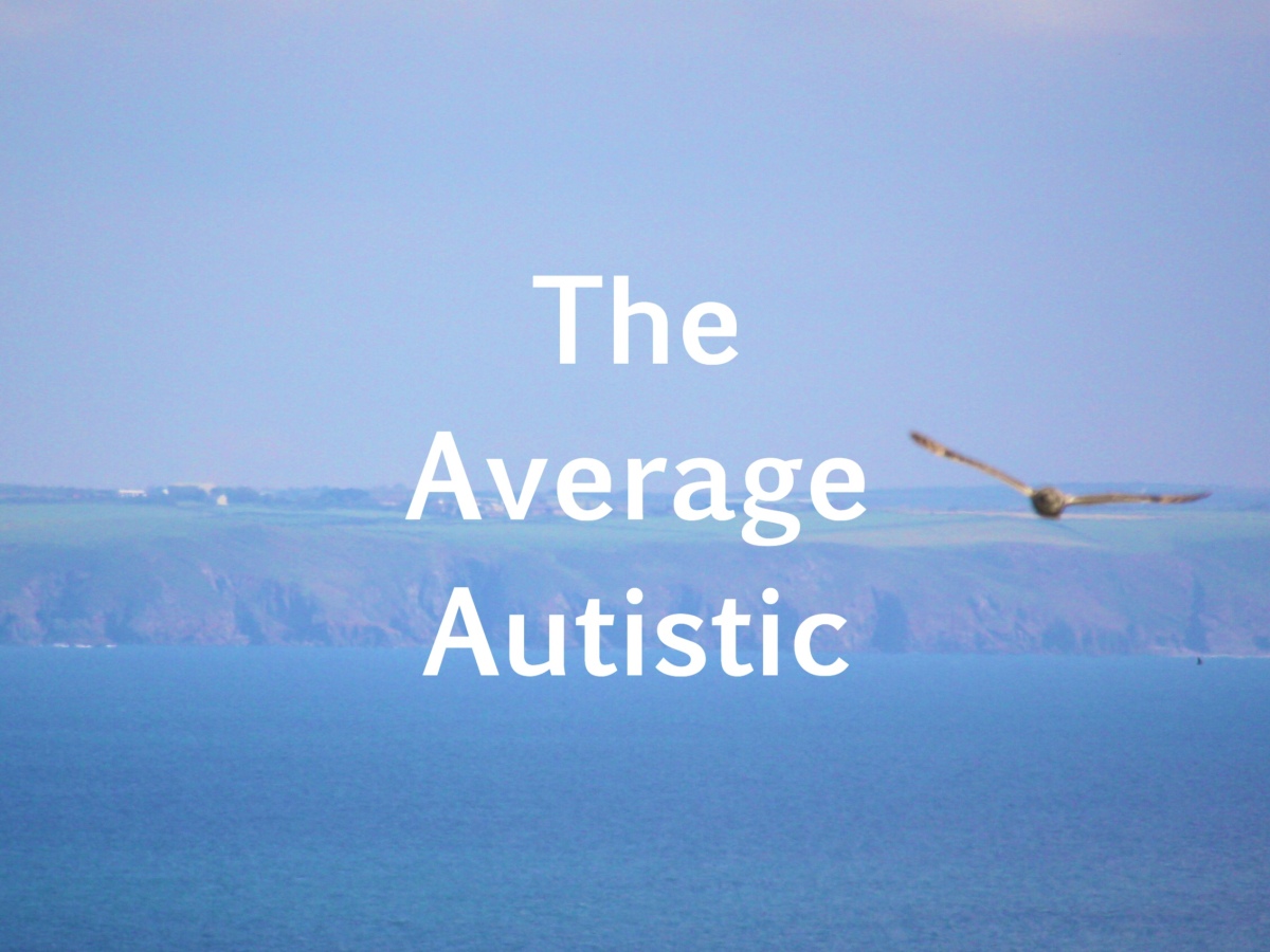 The Average Autistic