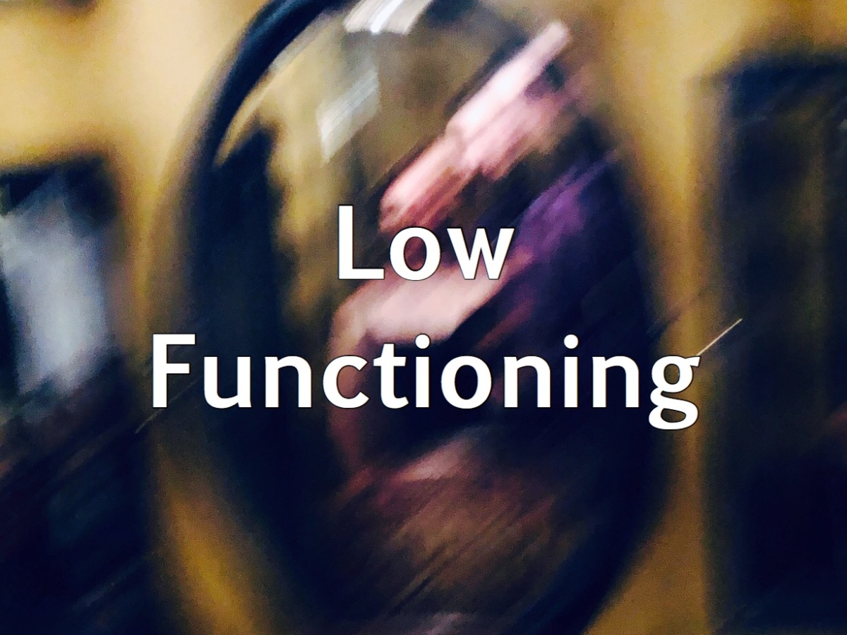 Low Functioning
