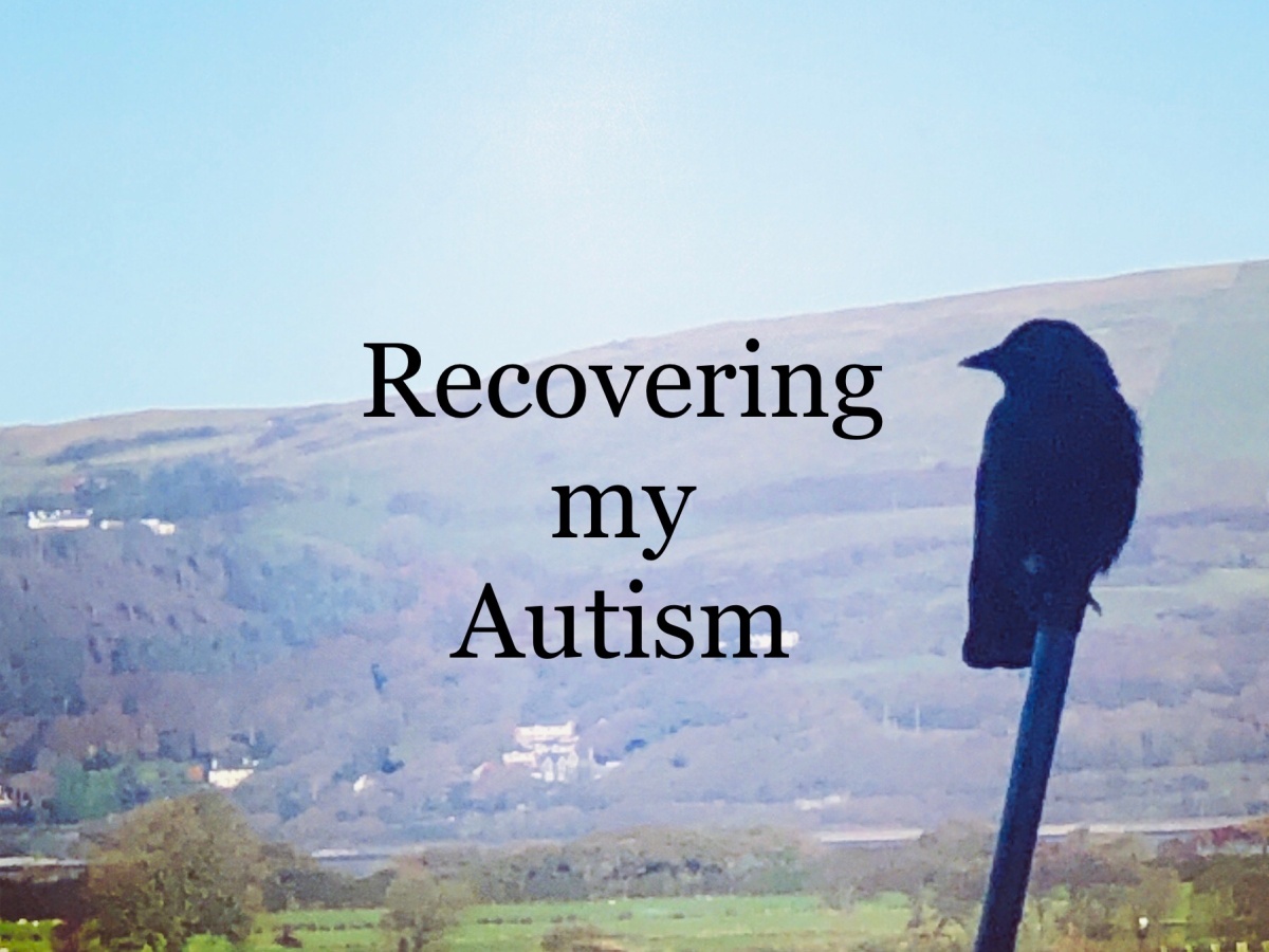 Recovering my Autism