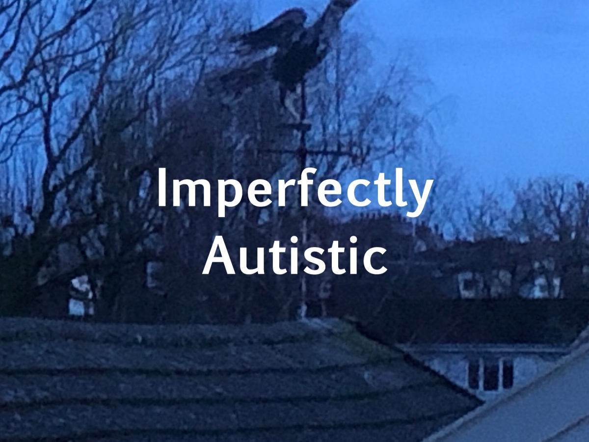 Imperfectly Autistic