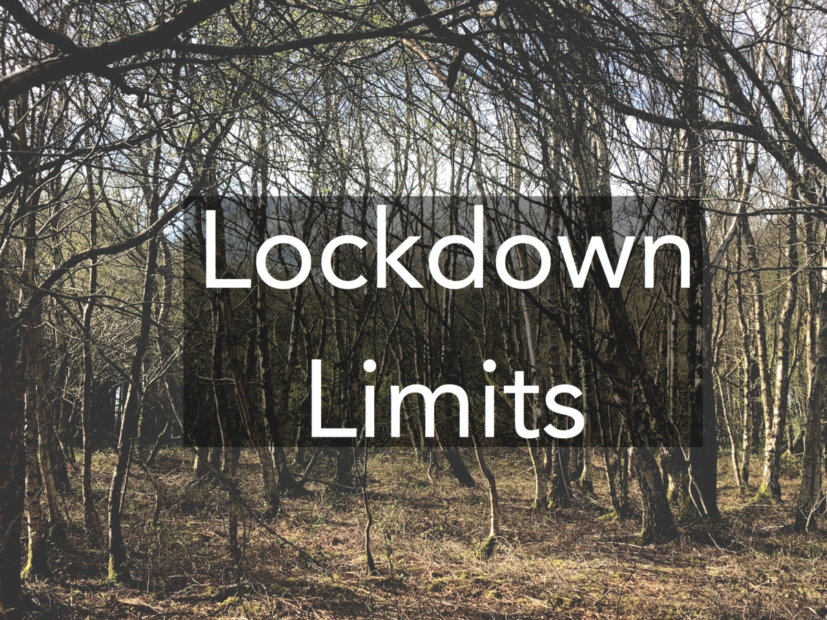 Lockdown Limits