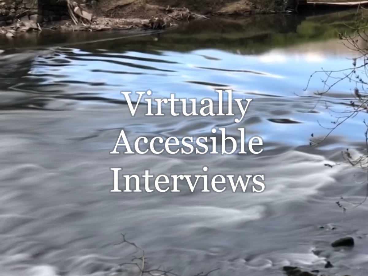 Virtually Accessible Interviews